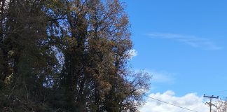 ΕΡΓΑ ΣΠΑΝΟΣ