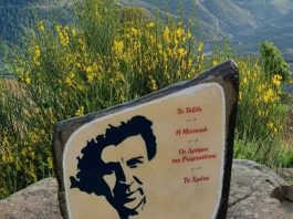 ΚΕΔΡΑ ΠΛΑΤΕΙΑ ΜΙΚΗΣ