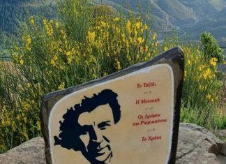 ΚΕΔΡΑ ΠΛΑΤΕΙΑ ΜΙΚΗΣ