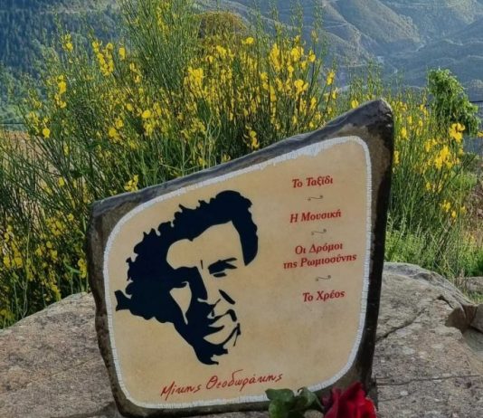 ΚΕΔΡΑ ΠΛΑΤΕΙΑ ΜΙΚΗΣ