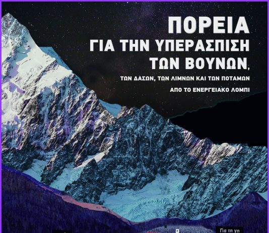 ΠΑΓΚΟΣΜΙΑ ΜΕΡΑ ΒΟΥΝΟΥ ΠΟΡΕΙΑ