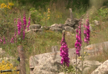 screenshot 2026 01 12 215441