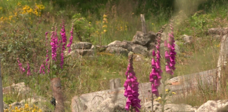 screenshot 2026 01 12 215441