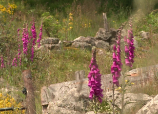 screenshot 2026 01 12 215441