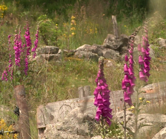 screenshot 2026 01 12 215441