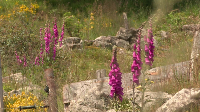 screenshot 2026 01 12 215441 screenshot 2026 01 12 215441