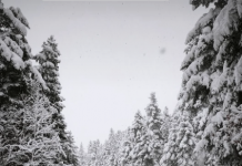 screenshot 2026 01 21 201940