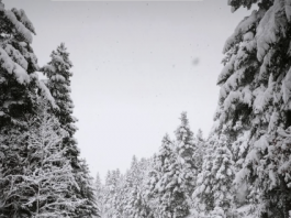 screenshot 2026 01 21 201940