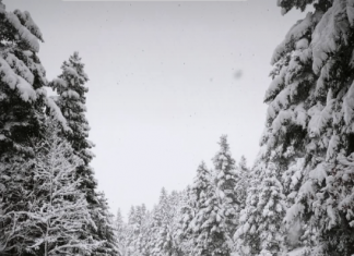 screenshot 2026 01 21 201940