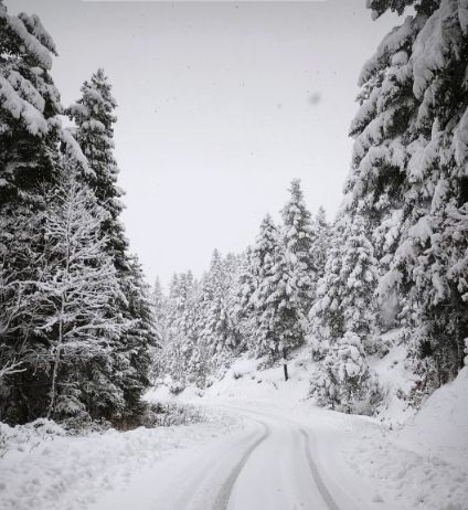 screenshot 2026 01 21 201940