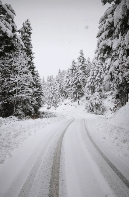 screenshot 2026 01 21 201940