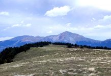 ΝΕΡΑΙΔΟΒΟΥΝΙ copy