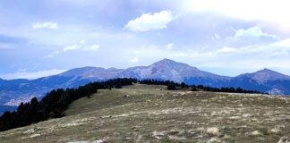 ΝΕΡΑΙΔΟΒΟΥΝΙ copy