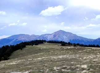 ΝΕΡΑΙΔΟΒΟΥΝΙ copy