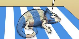 Χαμαιλέοντες image 71 620x332