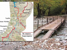 screenshot 2026 02 01 200929