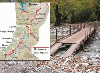 screenshot 2026 02 01 200929