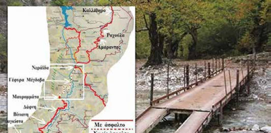 screenshot 2026 02 01 200929