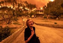 climate change; cry; elderly; environment; euboea; evia; extinguish; fire; fire fighters; firefighter; gouves; natural disaster; nature; sad; sadness; stress; summer wildfires; wildfire; Γούβες; Εύβοια; Πυρκαγιά; Πυρκαγιές; αγωνία; ηλικιωμένος; καλοκαιρινές πυρκαγιές; κατάσβεση; κλάμα; περιβάλλον; πυροσβέστης; πυροσβεστική; στεναχώρια; φύση;