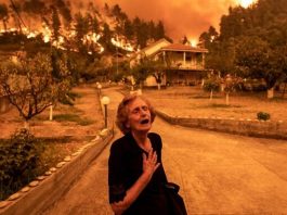 climate change; cry; elderly; environment; euboea; evia; extinguish; fire; fire fighters; firefighter; gouves; natural disaster; nature; sad; sadness; stress; summer wildfires; wildfire; Γούβες; Εύβοια; Πυρκαγιά; Πυρκαγιές; αγωνία; ηλικιωμένος; καλοκαιρινές πυρκαγιές; κατάσβεση; κλάμα; περιβάλλον; πυροσβέστης; πυροσβεστική; στεναχώρια; φύση;
