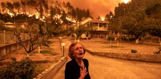 climate change; cry; elderly; environment; euboea; evia; extinguish; fire; fire fighters; firefighter; gouves; natural disaster; nature; sad; sadness; stress; summer wildfires; wildfire; Γούβες; Εύβοια; Πυρκαγιά; Πυρκαγιές; αγωνία; ηλικιωμένος; καλοκαιρινές πυρκαγιές; κατάσβεση; κλάμα; περιβάλλον; πυροσβέστης; πυροσβεστική; στεναχώρια; φύση;