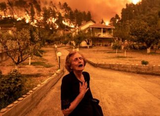 climate change; cry; elderly; environment; euboea; evia; extinguish; fire; fire fighters; firefighter; gouves; natural disaster; nature; sad; sadness; stress; summer wildfires; wildfire; Γούβες; Εύβοια; Πυρκαγιά; Πυρκαγιές; αγωνία; ηλικιωμένος; καλοκαιρινές πυρκαγιές; κατάσβεση; κλάμα; περιβάλλον; πυροσβέστης; πυροσβεστική; στεναχώρια; φύση;
