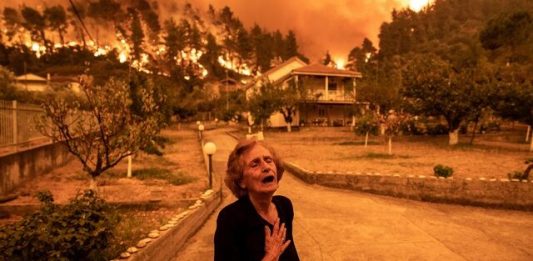 climate change; cry; elderly; environment; euboea; evia; extinguish; fire; fire fighters; firefighter; gouves; natural disaster; nature; sad; sadness; stress; summer wildfires; wildfire; Γούβες; Εύβοια; Πυρκαγιά; Πυρκαγιές; αγωνία; ηλικιωμένος; καλοκαιρινές πυρκαγιές; κατάσβεση; κλάμα; περιβάλλον; πυροσβέστης; πυροσβεστική; στεναχώρια; φύση;