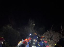 ΔΙΑΣΩΣΤΙΚΟ 2