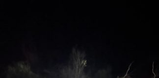 ΔΙΑΣΩΣΤΙΚΟ 2