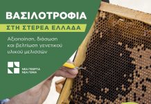 ΝΕΑ ΓΕΩΡΓΙΑ ΒΑΣΙΛΟΤΡΟΦΙΑ