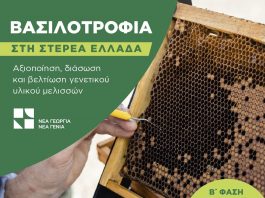 ΝΕΑ ΓΕΩΡΓΙΑ ΒΑΣΙΛΟΤΡΟΦΙΑ