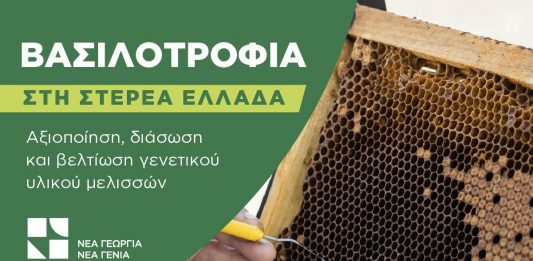 ΝΕΑ ΓΕΩΡΓΙΑ ΒΑΣΙΛΟΤΡΟΦΙΑ