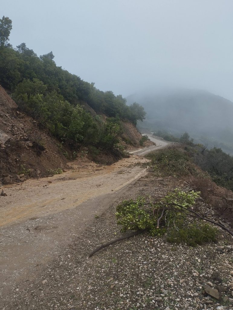 ΠΑΛΑΙΟΚΑΤΟΥΝΑ
