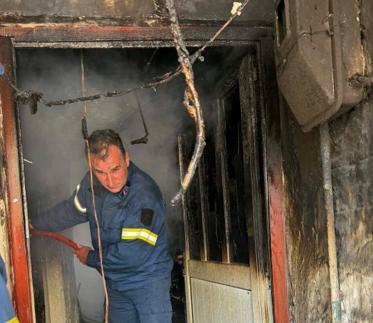 fb img 1774189511630