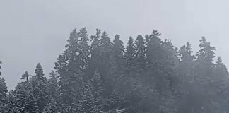 messenger creation b0c79a7a cf32 4238 b715 1bd03d0431cd