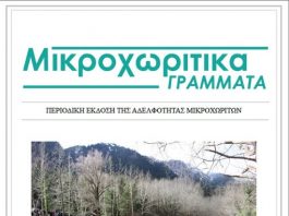 ΜΙΚΡΟΧΩΡΙΤΙΚΑ