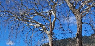 Νέο σύγχρονο φορτωτή για τις ορεινές κοινότητες στα Άγραφα.