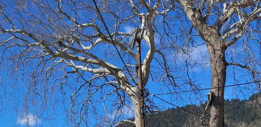 Νέο σύγχρονο φορτωτή για τις ορεινές κοινότητες στα Άγραφα.
