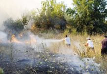 ΠΥΡΟΠΡΟΣΤΑΣΙΑ