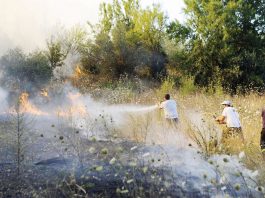 ΠΥΡΟΠΡΟΣΤΑΣΙΑ