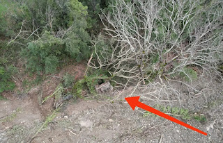 μυλος Δαφνη1