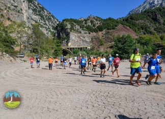 426fef2ee74c3f769e1528455cc8a6a1 xl