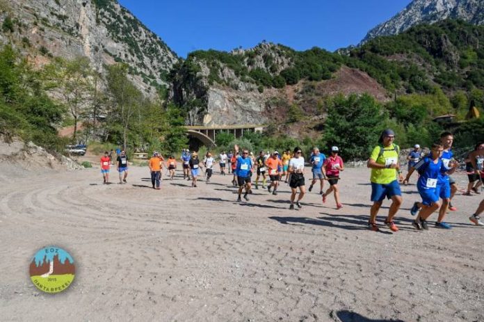 426fef2ee74c3f769e1528455cc8a6a1 xl