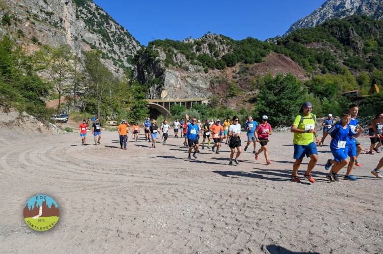 426fef2ee74c3f769e1528455cc8a6a1 xl