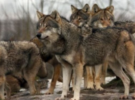 screenshot 2026 04 16 124229