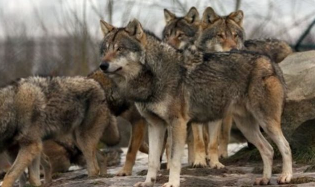 screenshot 2026 04 16 124229