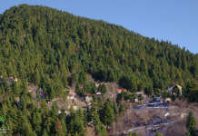 Οδικό Έργο Πνοής 500.000€: Εγκρίθηκε η Σύνδεση Σκοπιά – Μεσοκώμη screenshot 2026 04 16 125608