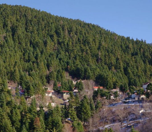 screenshot 2026 04 16 125608