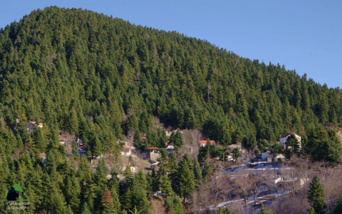 screenshot 2026 04 16 125608