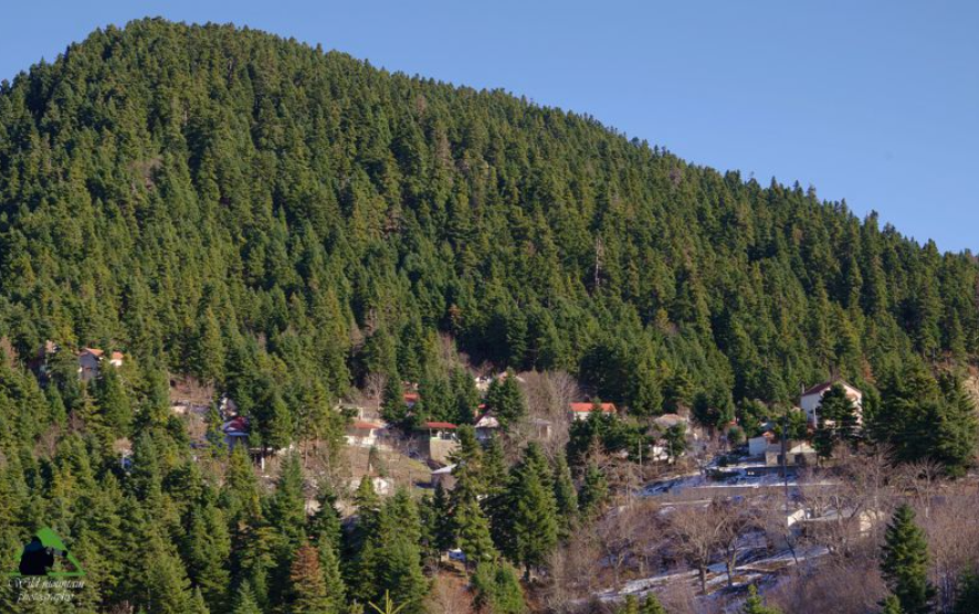 screenshot 2026 04 16 125608